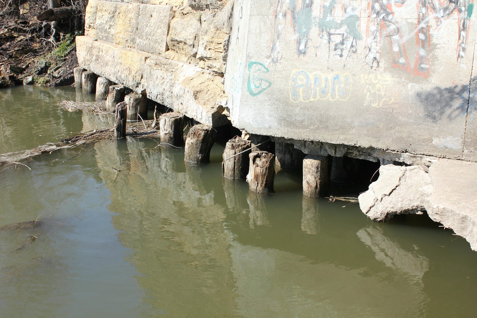 Exposed pilings